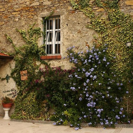 Al Vecchio Convento Mare E Monti Bed & Breakfast Ortonovo ภายนอก รูปภาพ